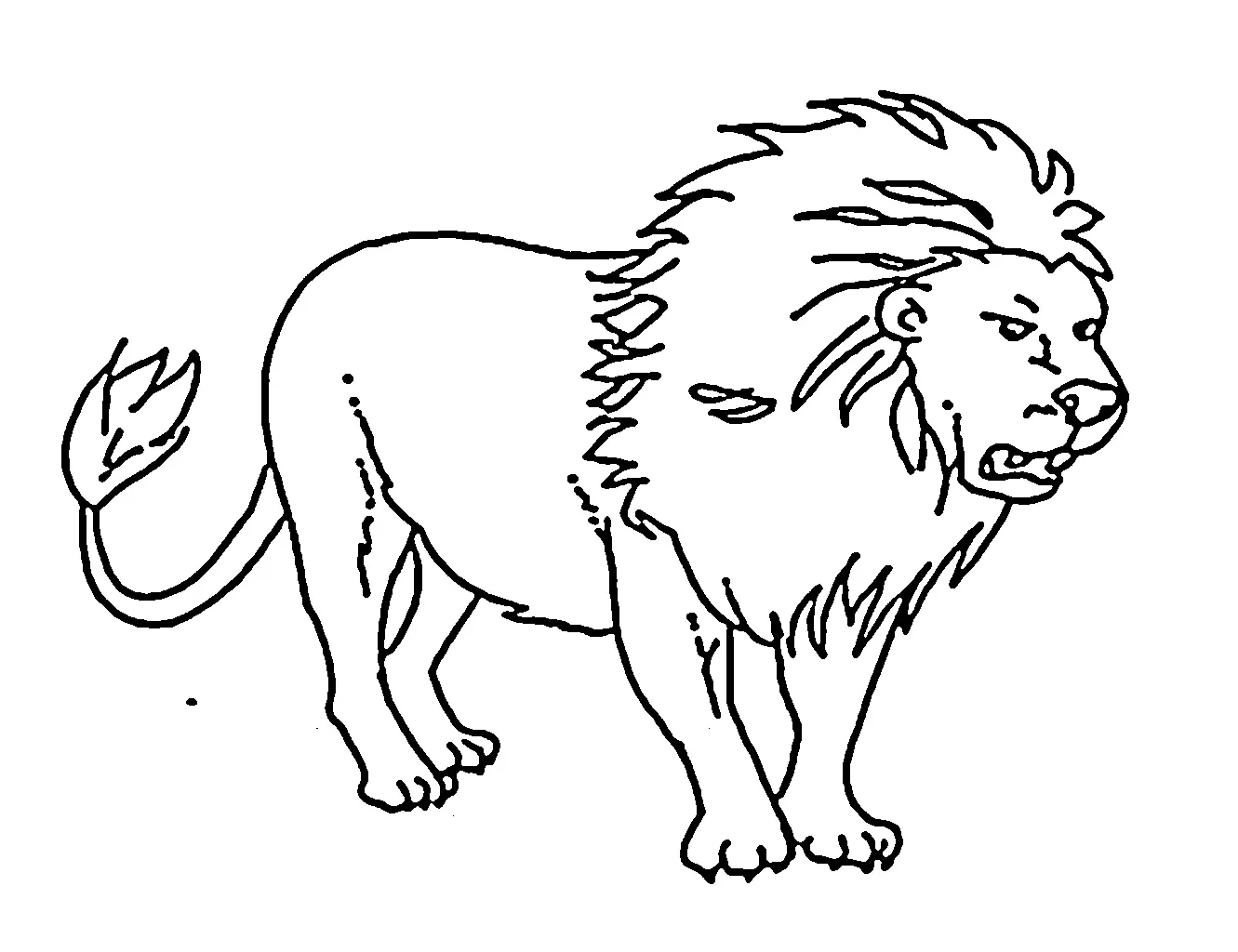 singa Black and white pictures coloring book 018